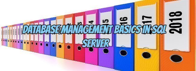 Database Management Basics in SQL Server