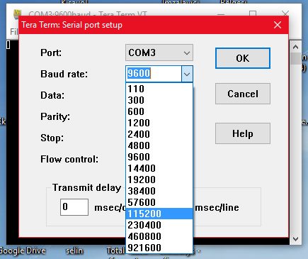 tera-term seri Port Setup-Bound rate