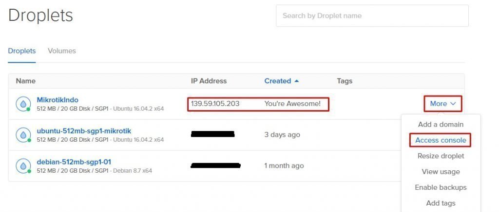 How to Install Mikrotik on Virtual Private Server (VPS)