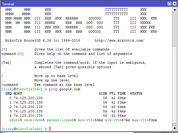 Ping Command in Mikrotik