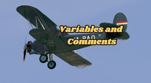 Java Tutorial:  Variables and Comments
