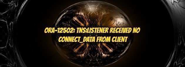 ORA-12502: TNS:LISTENER RECEIVED NO CONNECT_DATA FROM CLIENT