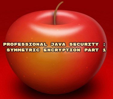 Professional Java Security : Symmetric Encryption Part 1