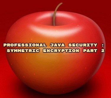 Professional Java Security : Symmetric Encryption Part 2