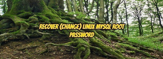 Recover (Change) Linux Mysql Root Password