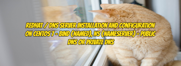 Redhat / DNS Server Installation and Configuration on Centos 7 – Bind (Named), NS (Nameserver) – Public DNS Or Private DNS