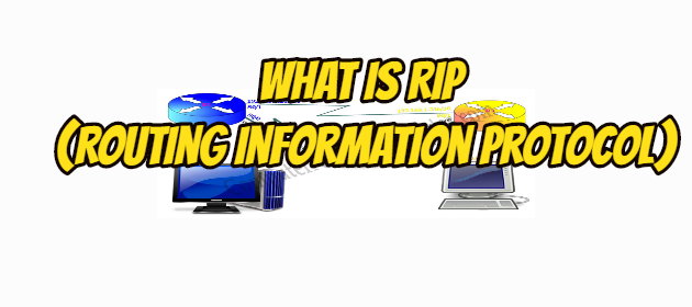 What is RIP (Routing Information Protocol)