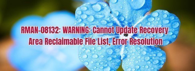 RMAN-08132: WARNING: Cannot Update Recovery Area Reclaimable File List, Error Resolution