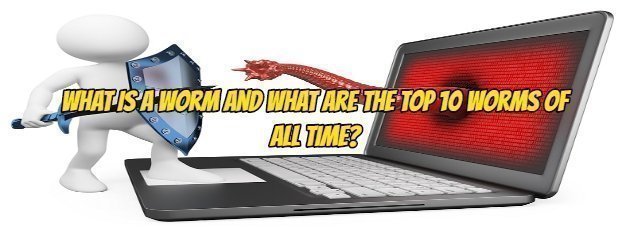 What is a worm and what are the top 10 worms of all time?